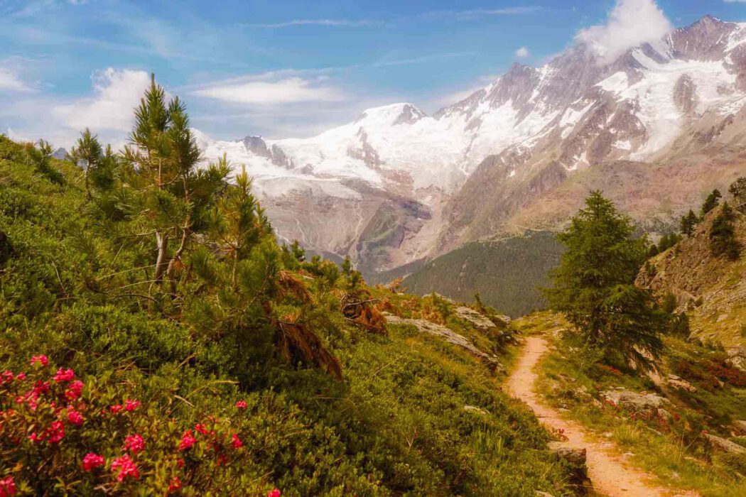 Panorama der Schweizer Alpen mit schneebedeckten Bergen