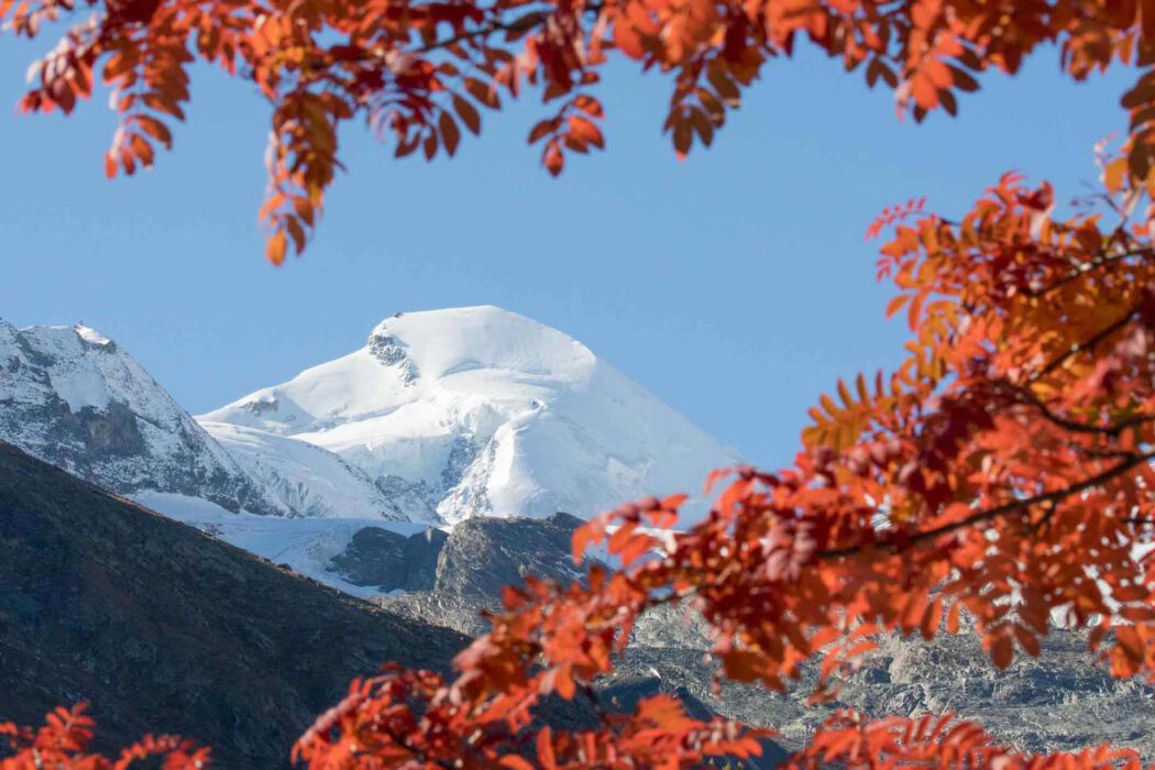Schneebedeckter Berg mit leuchtend roten Herbstblättern im Vordergrund