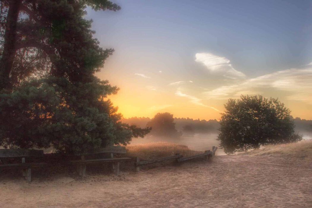 Morgenstimmung mit Nebel und Sonnenaufgang in sandiger Landschaft mit Baum und Bank