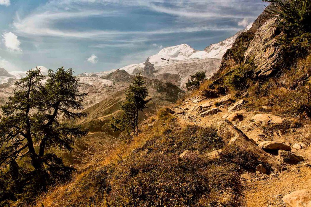 Steiniger Bergpfad mit Nadelbäumen und schneebedeckten Gletschern im Hintergrund