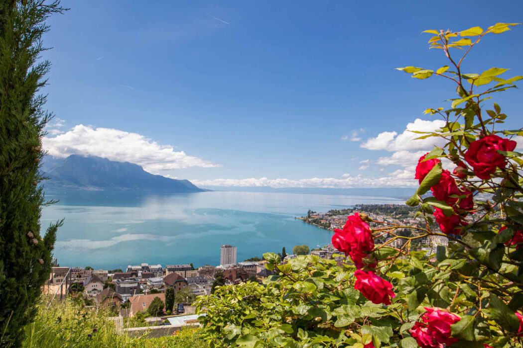 Panorama des Genfersees mit Montreux und Bergen