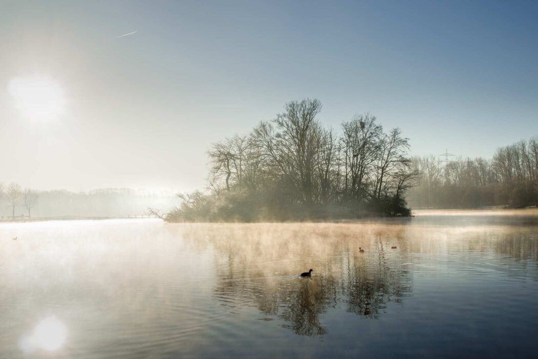 Ein malerischer See im Morgennebel. Eine kleine Insel mit kahlen Bäumen erhebt sich aus dem Wasser, das von aufsteigendem Dunst bedeckt ist. Die Sonne scheint diffus durch den Nebel und erzeugt einen hellen Schein. Enten schwimmen auf der ruhigen Wasseroberfläche