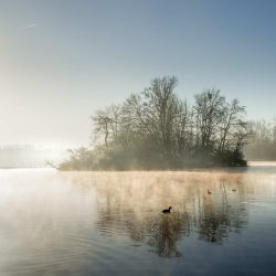 Ein malerischer See im Morgennebel. Eine kleine Insel mit kahlen Bäumen erhebt sich aus dem Wasser, das von aufsteigendem Dunst bedeckt ist. Die Sonne scheint diffus durch den Nebel und erzeugt einen hellen Schein. Enten schwimmen auf der ruhigen Wasseroberfläche