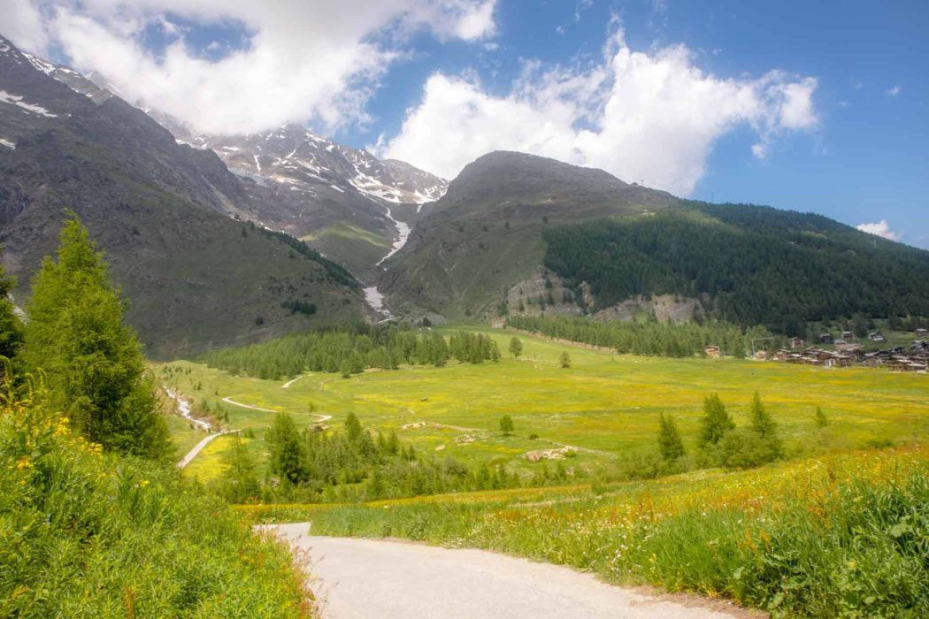 Alpenlandschaft mit Wiese und Bergen