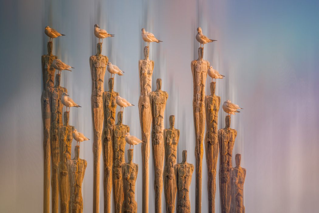 Eine Gruppe von hohen, schmalen Holzstatuen, auf denen mehrere Möwen sitzen. Der Hintergrund ist durch vertikale Bewegungsunschärfe in weiche Blau- und Pastelltöne aufgelöst. Das warme Licht betont die Textur des Holzes und das weiße Gefieder der Vögel.