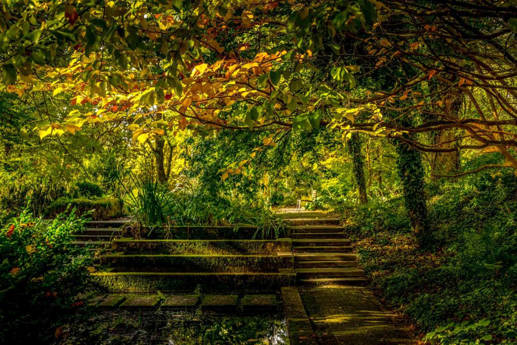 Moosbedeckte Steintreppe in einem bewachsenen Park im Herbstlicht