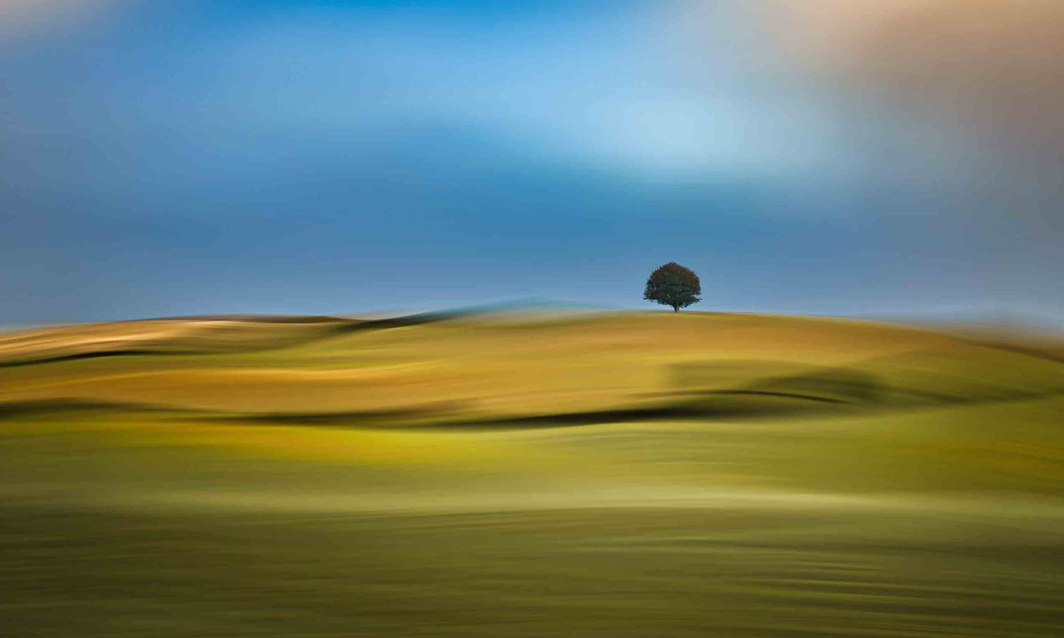 Künstlerische Landschaftsfotografie – einzelner Baum auf goldenem Hügel unter weitem blauem Himmel, in bewegter ICM Langzeit Technik mit weichem Wischeffekt – Fine Art Naturfoto.