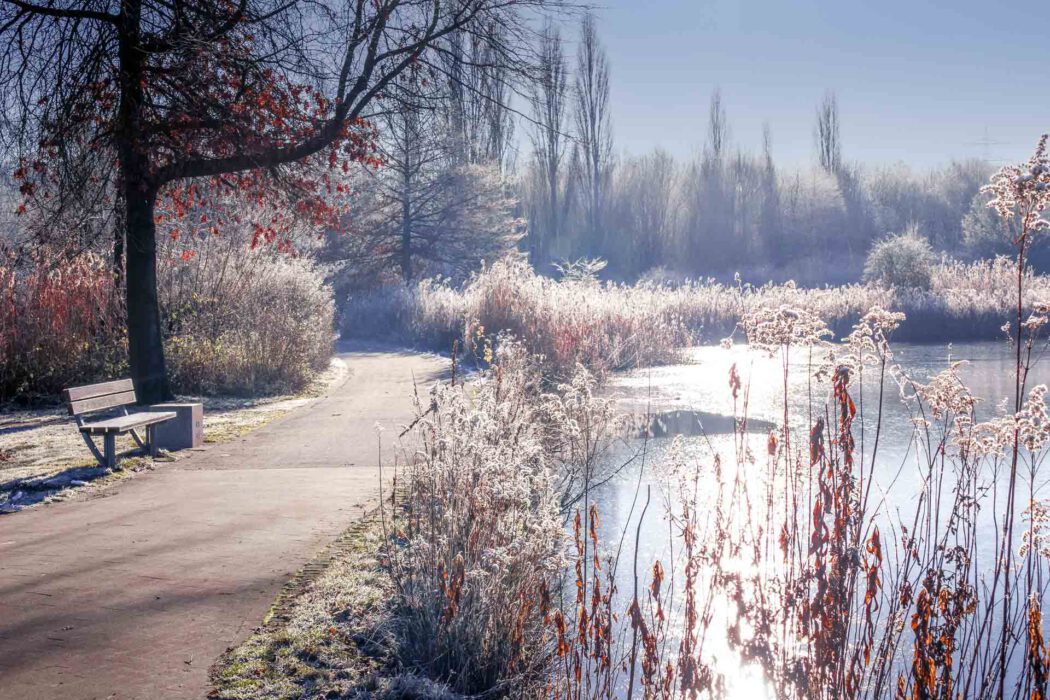 Ein Weg führt an einem Gewässer entlang, dessen Oberfläche glänzt, möglicherweise von Eis oder spiegelndem Licht. Die Ufervegetation und die Bäume sind mit Reif bedeckt. Eine Holzbank steht am linken Bildrand. Der Himmel ist hell und klar, und die Sonne scheint, wodurch das Wasser glitzert.