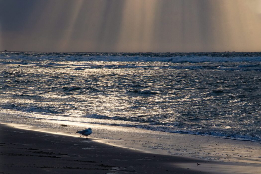 Reisefotografie Nordsee Strand bei Sonnenuntergang: Dramatische Wolken mit Sonnenstrahlen die durchbrechen, Lichtreflex auf bewegter See, dunkler Sandstrand im Vordergrund, goldenes Abendlicht über dem Meer.