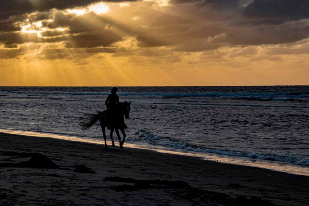 Silhouette von Reiter und Pferd bei Sonnenuntergang