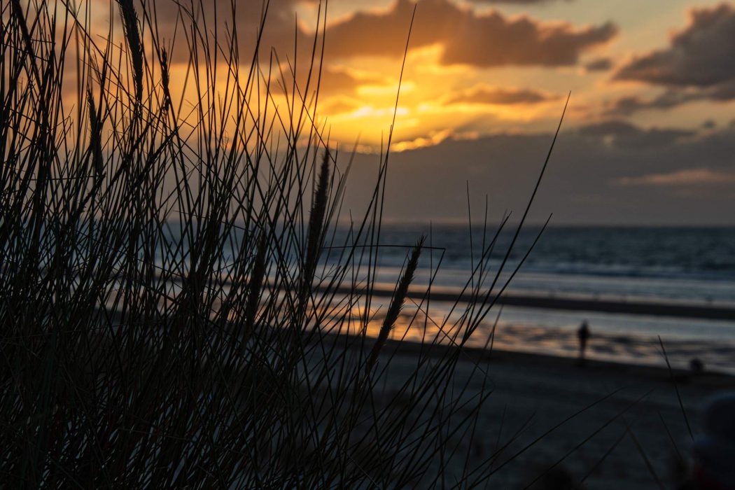 Sonnenuntergang am Strand durch Strandgras fotografiert, mit Person in der Ferne.