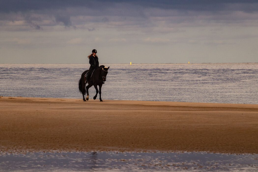 Eine Person mit Helm reitet auf einem schwarzen Pferd am Sandstrand entlang, vor dem ruhigen Meer unter einem düsteren, bewölkten Himmel.