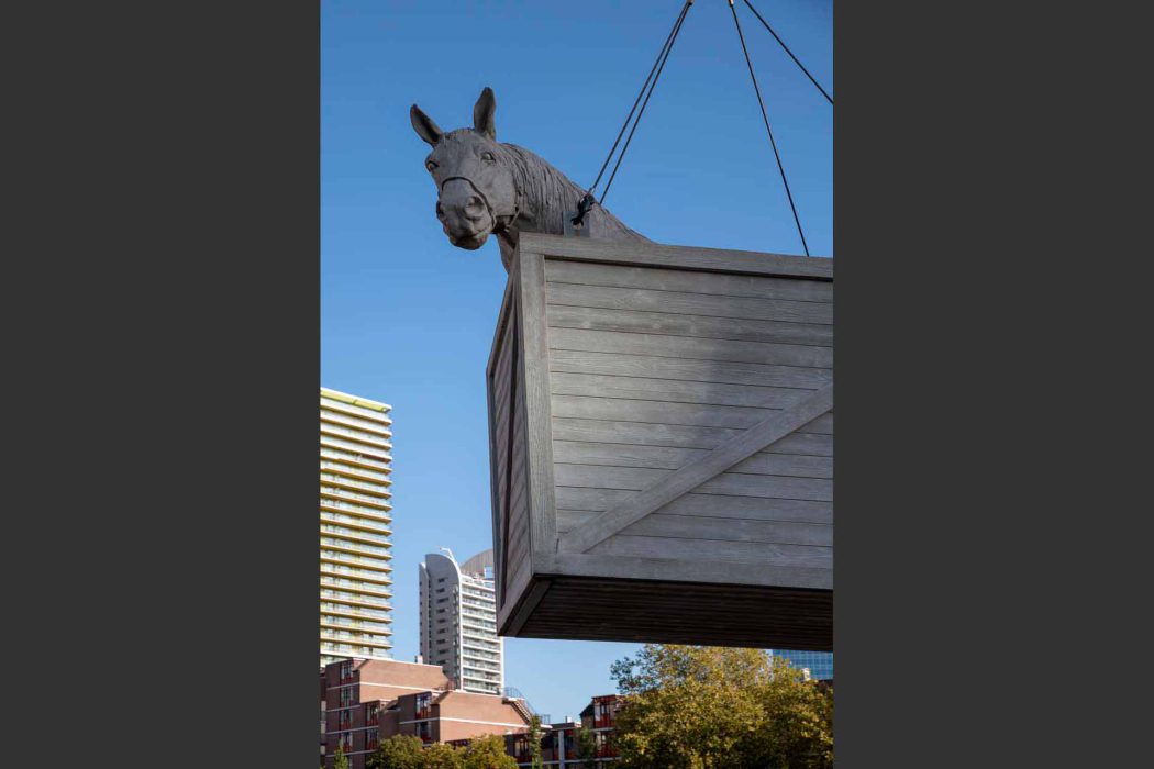 Skulptur eines Pferdekopfes, der aus einer Holzkiste ragt, schwebend über modernen Gebäuden in Rotterdam