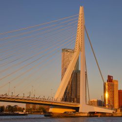 MG_2630