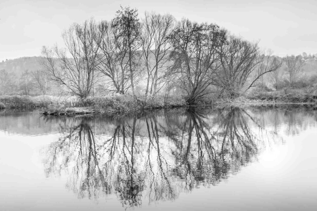 Schwarz-Weiß-Fotografie von Bäumen, die sich in einem Fluss spiegeln,