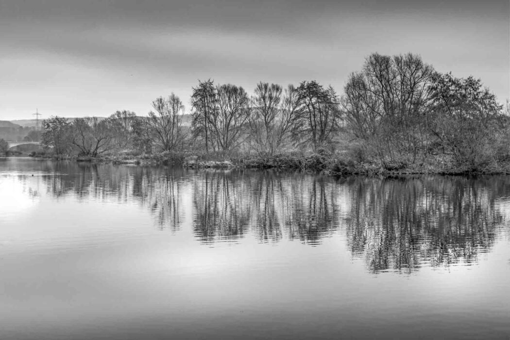 Bäume am Ufer der Ruhr spiegen sich im Wasser