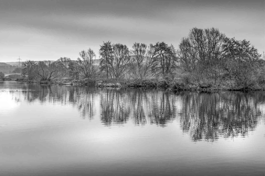 Bäume am Ufer der Ruhr spiegen sich im Wasser