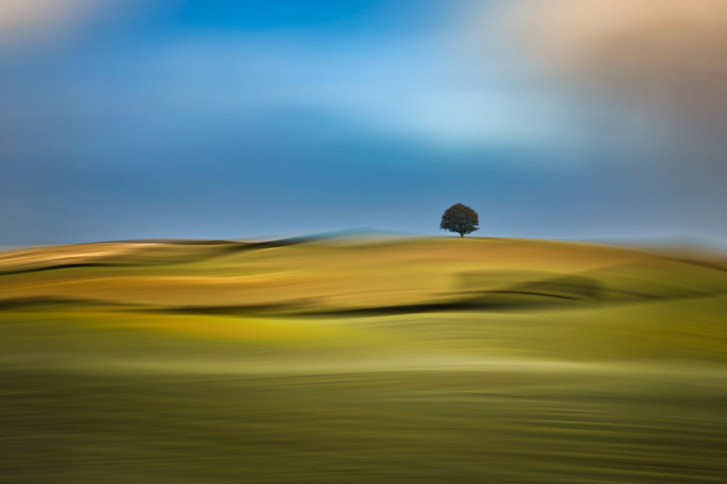 Eine künstlerische Landschaftsaufnahme eines einzelnen Baumes auf einem Hügel. Die Umgebung ist durch horizontale Bewegungsunschärfe in weiche, gelbe und grüne Farbbänder verwandelt, unter einem blauen, ebenfalls unscharfen Himmel.