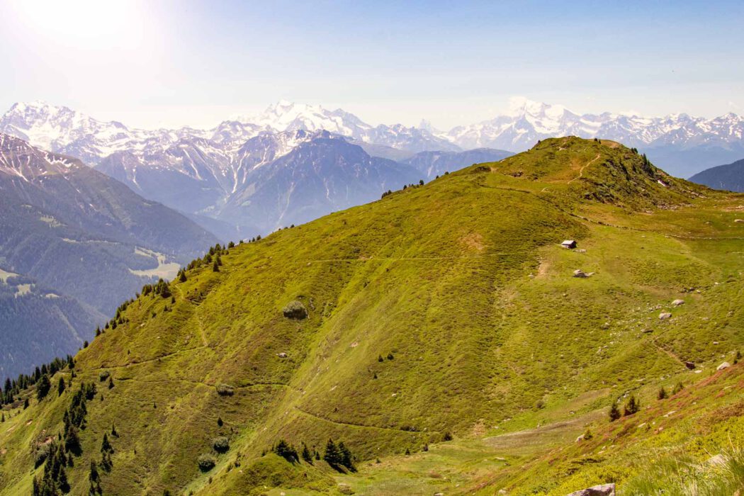 Ein sonniger Berghang mit grüner Wiese, kleinen Bäumen und einem einzelnen Holzhaus; dahinter erheben sich schroffe, schneebedeckte Gipfel unter klarem Himmel.