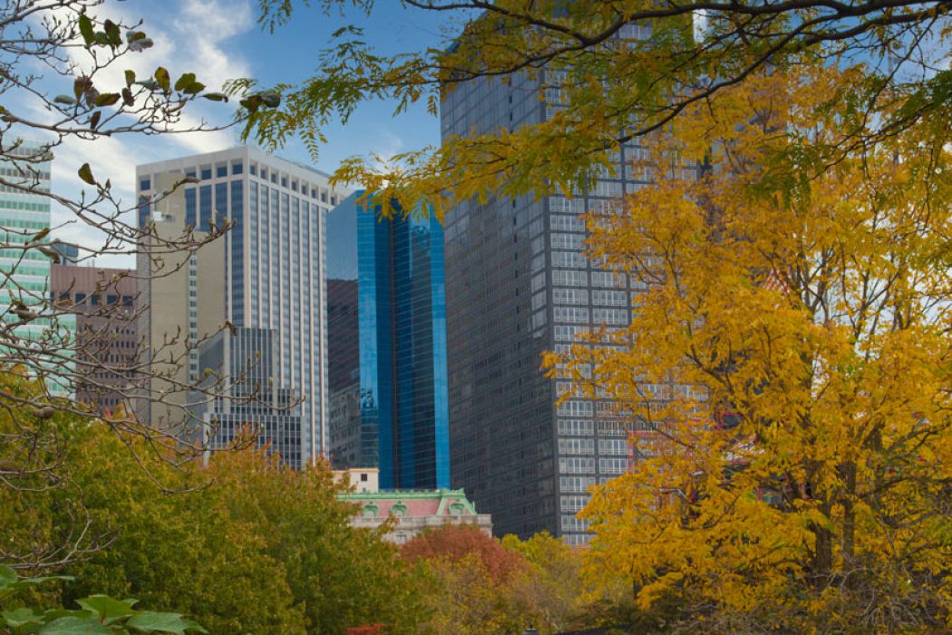 Dieses Bild zeigt eine idyllische Parklandschaft in New York im Herbst, umgeben von modernen Hochhäusern und Wolkenkratzern. Die Bäume im Vordergrund und Mittelgrund präsentieren lebendige Herbstfarben, von leuchtendem Gelb über Orange bis zu verschiedenen Grünschattierungen, die einen schönen Kontrast zur urbanen Architektur bilden. Im Hintergrund erheben sich beeindruckende Gebäude mit Glasfassaden und traditionellerer Bauweise unter einem blauen Himmel mit vereinzelten Wolken. Ein Spaziergänger ist im Park zu erkennen, was die einladende Atmosphäre des Ortes unterstreicht. Dieses Bild ist ideal für Suchanfragen zu urbanen Parks, Herbstlandschaften, Stadtgrün, Stadtfotografie und Natur in der Stadt.